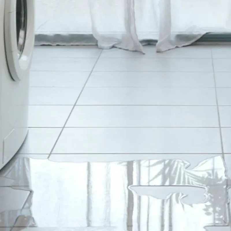 Appliance Leak Cleanup in Ridgefield, WA