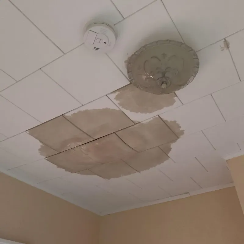 Ceiling Water Damage Repair in Ridgefield, WA