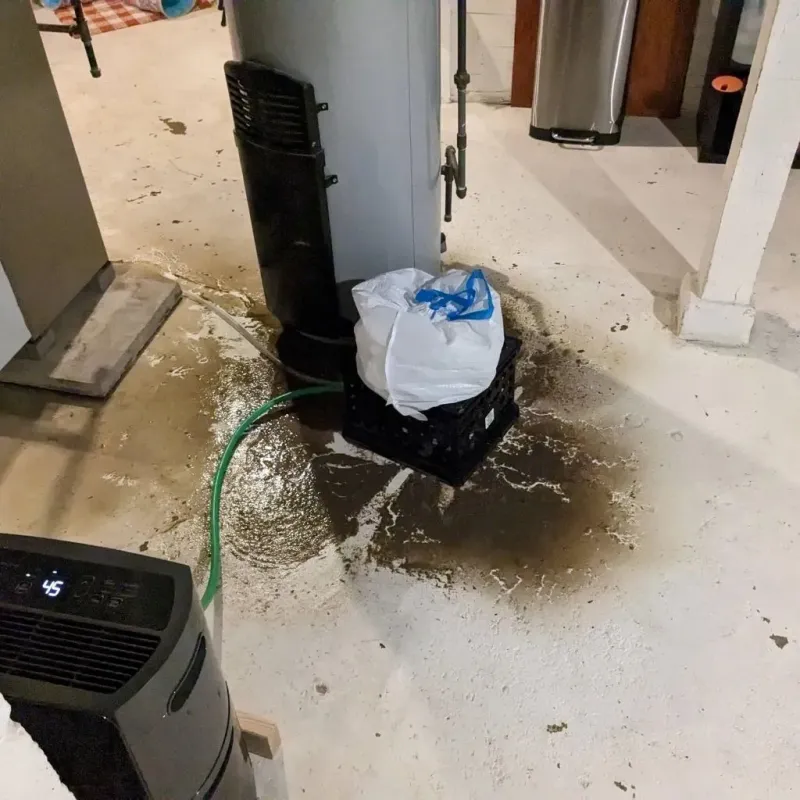Sewage Backup Cleanup Service in Ridgefield, WA